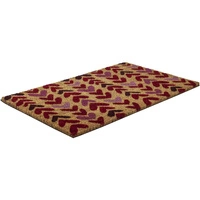 Wycieraczka pod drzwi Enterway z tworzywa kokosowego w serca 70 x 43 cm